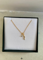 Load image into Gallery viewer, CORNO & INITIAL NECKLACE - GOLD