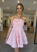 Load image into Gallery viewer, ROSELLA MINI DRESS BALLET