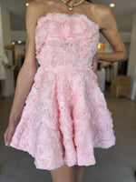 Load image into Gallery viewer, ROSELLA MINI DRESS BALLET