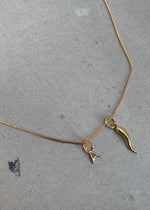 Load image into Gallery viewer, CORNO & INITIAL NECKLACE - GOLD