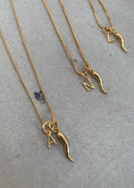 Load image into Gallery viewer, CORNO & INITIAL NECKLACE - GOLD
