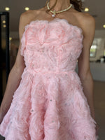 Load image into Gallery viewer, ROSELLA MINI DRESS BALLET