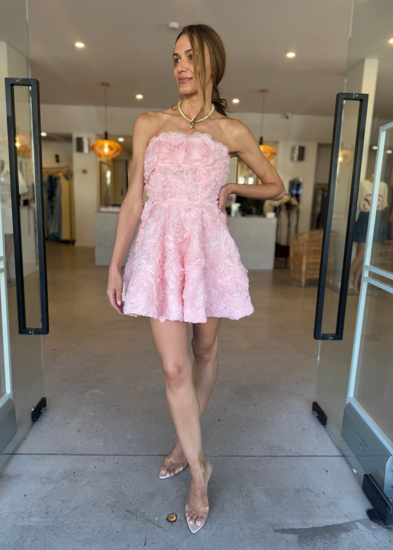 ROSELLA MINI DRESS BALLET