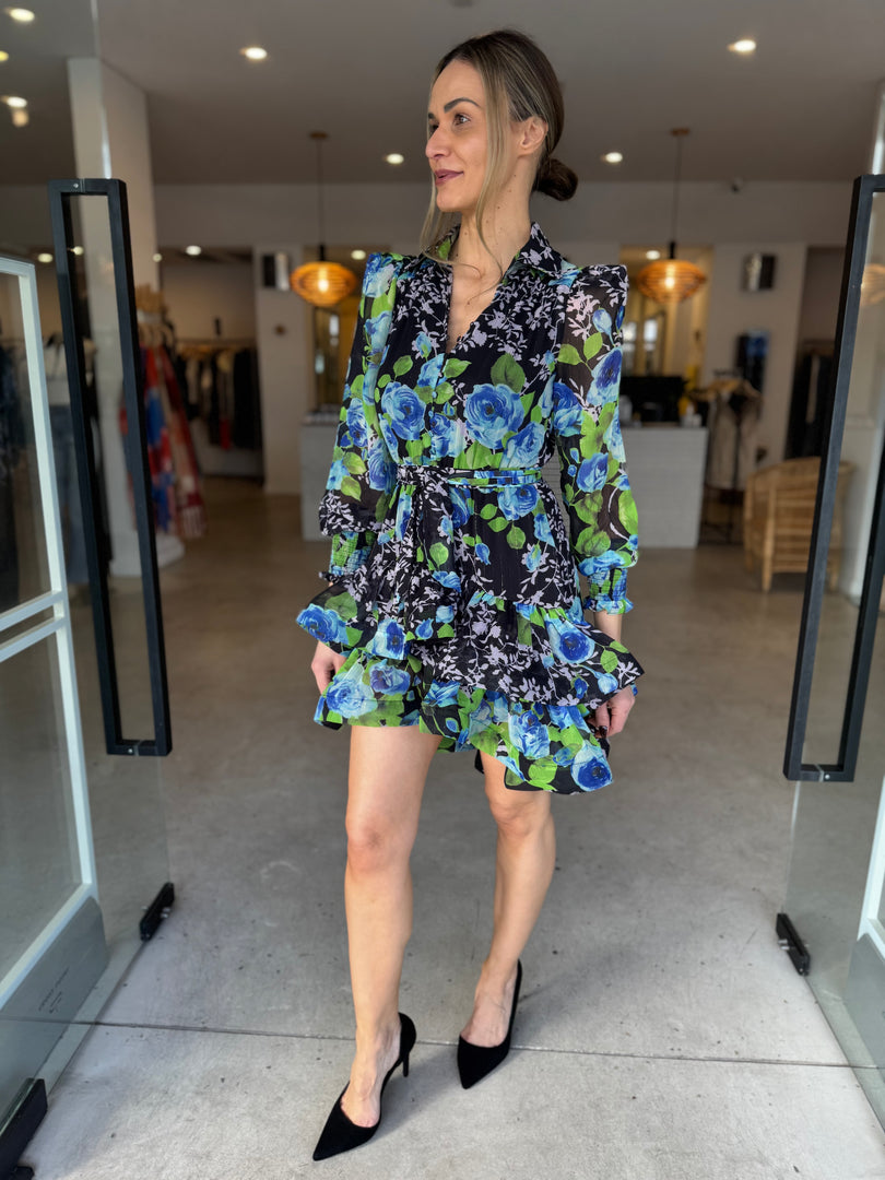 BRIONY LS MINI DRESS