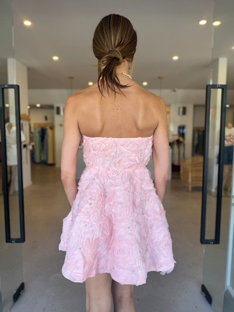 ROSELLA MINI DRESS BALLET