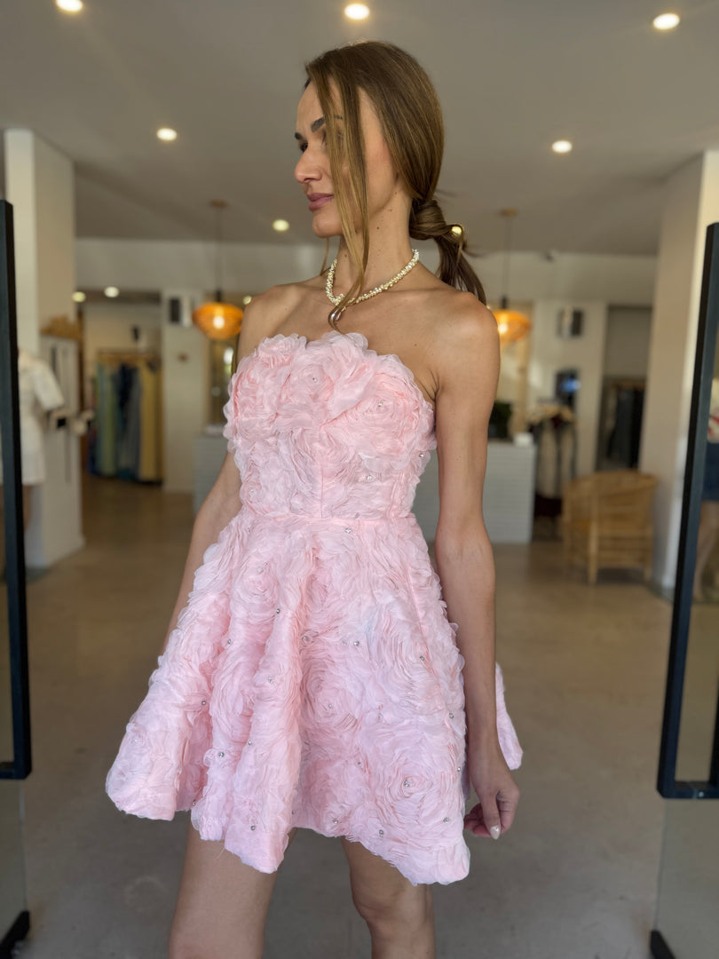 ROSELLA MINI DRESS BALLET