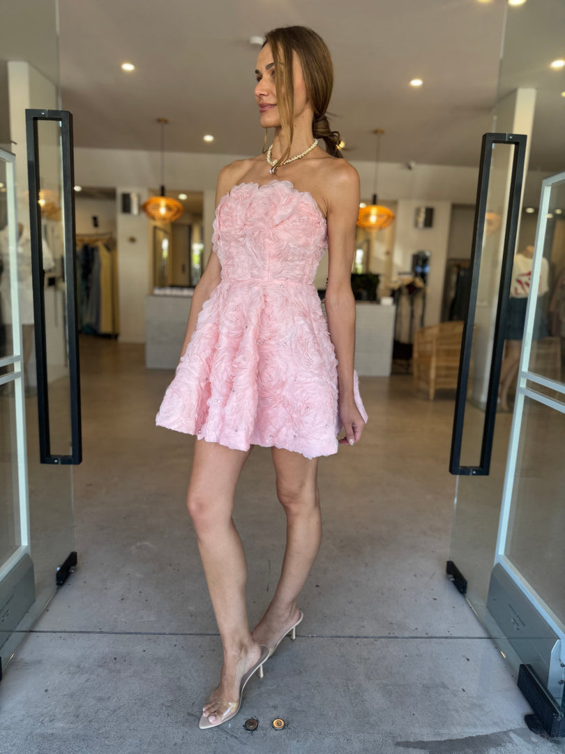 ROSELLA MINI DRESS BALLET