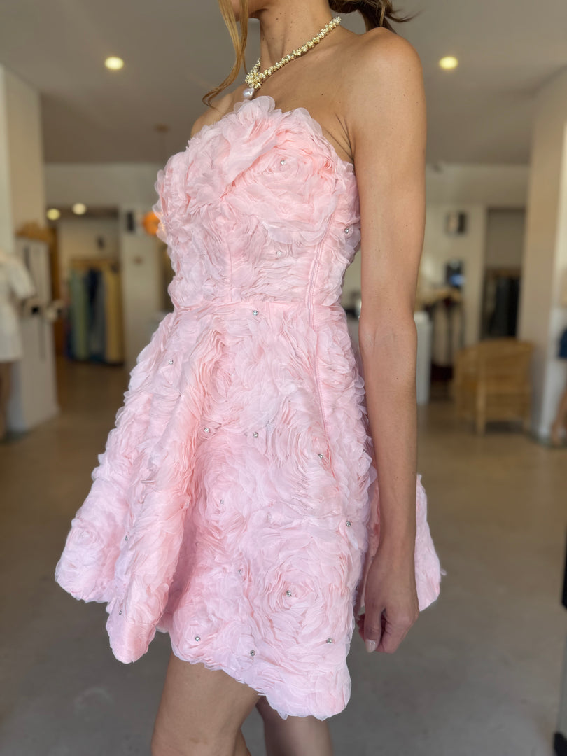 ROSELLA MINI DRESS BALLET